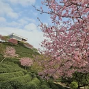 龙岩旅游 缩略图 7