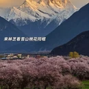 林芝旅游 缩略图 4