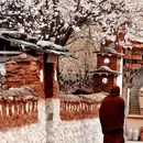 林芝旅游 缩略图 11