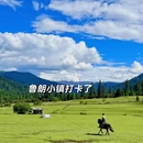 林芝旅游 缩略图 13