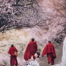 林芝旅游 缩略图 1