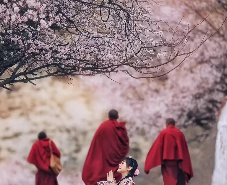 林芝旅游 1
