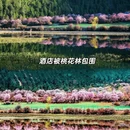 林芝旅游 缩略图 6
