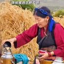 林芝旅游 缩略图 14