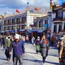 林芝旅游 缩略图 10