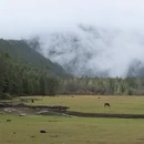 林芝旅游 缩略图 11