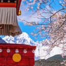 林芝旅游 缩略图 1