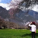 林芝旅游 缩略图 4
