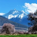 林芝旅游 缩略图 5