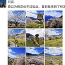 拉萨旅游 缩略图 5