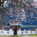 林芝旅游 缩略图 4