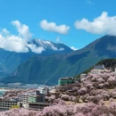 林芝旅游 缩略图 3
