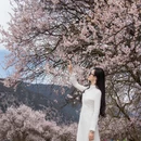 林芝旅游 缩略图 2