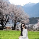 林芝旅游 缩略图 4