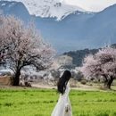 林芝旅游 缩略图 3