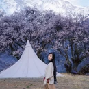 林芝旅游 缩略图 1