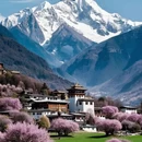林芝旅游 缩略图 2