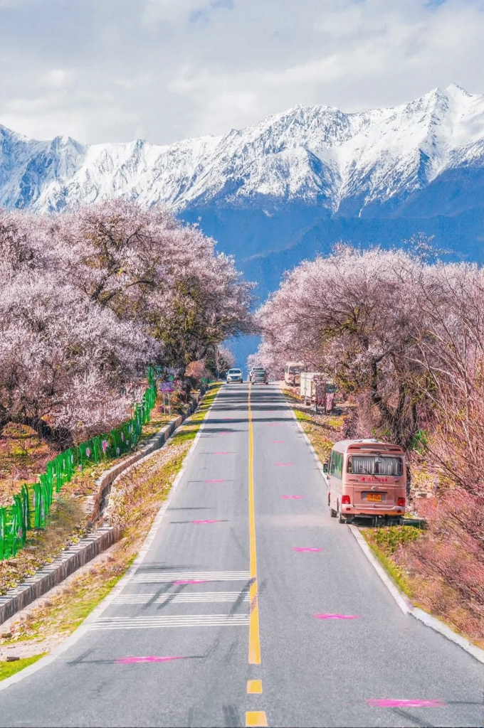 林芝旅游