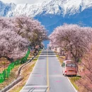 林芝旅游 缩略图 1