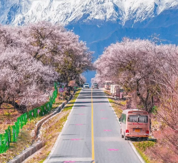 林芝旅游 1