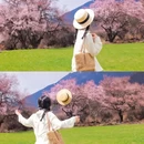 林芝旅游 缩略图 8