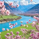林芝旅游 缩略图 7