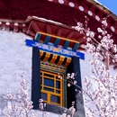 林芝旅游 缩略图 10