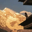 林芝旅游 缩略图 6