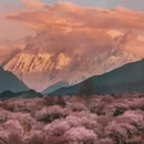 林芝旅游 缩略图 3