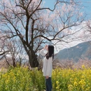 林芝旅游 缩略图 5