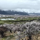 林芝旅游 缩略图 1