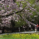 林芝旅游 缩略图 1
