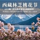 林芝旅游 缩略图 1