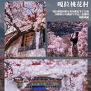林芝旅游 缩略图 3