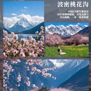 林芝旅游 缩略图 4