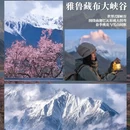 林芝旅游 缩略图 6