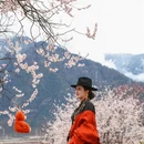 黄山旅游 缩略图 5