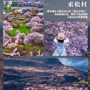 林芝旅游 缩略图 5