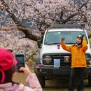 黄山旅游 缩略图 2