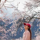 黄山旅游 缩略图 6