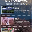 林芝旅游 缩略图 4
