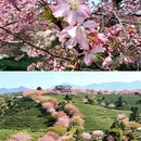 龙岩旅游 缩略图 1