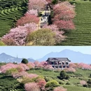 龙岩旅游 缩略图 7