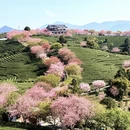 龙岩旅游 缩略图 8