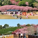 龙岩旅游 缩略图 2