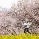 黄山旅游 缩略图 7