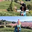 龙岩旅游 缩略图 9