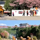 龙岩旅游 缩略图 3