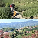 龙岩旅游 缩略图 4