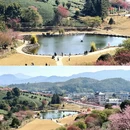 龙岩旅游 缩略图 10